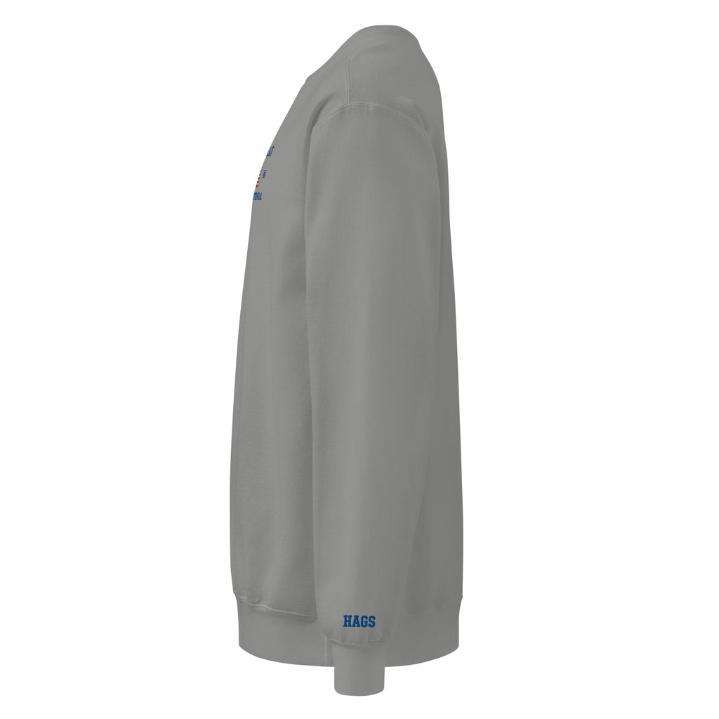 America 250th Anniversary 2026 Embroidered American Flag Sweatshirt – HAGS Clothing