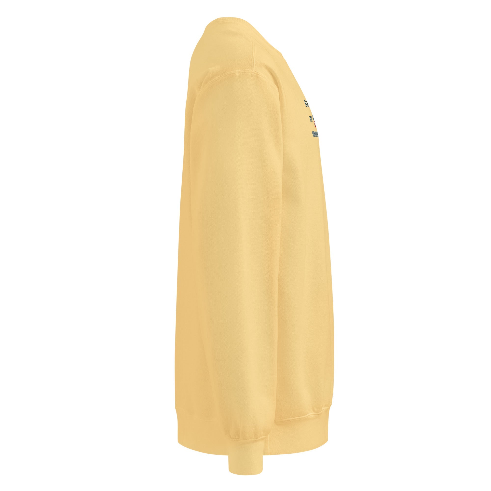 America 250th Anniversary 2026 Embroidered American Flag Sweatshirt – HAGS Clothing