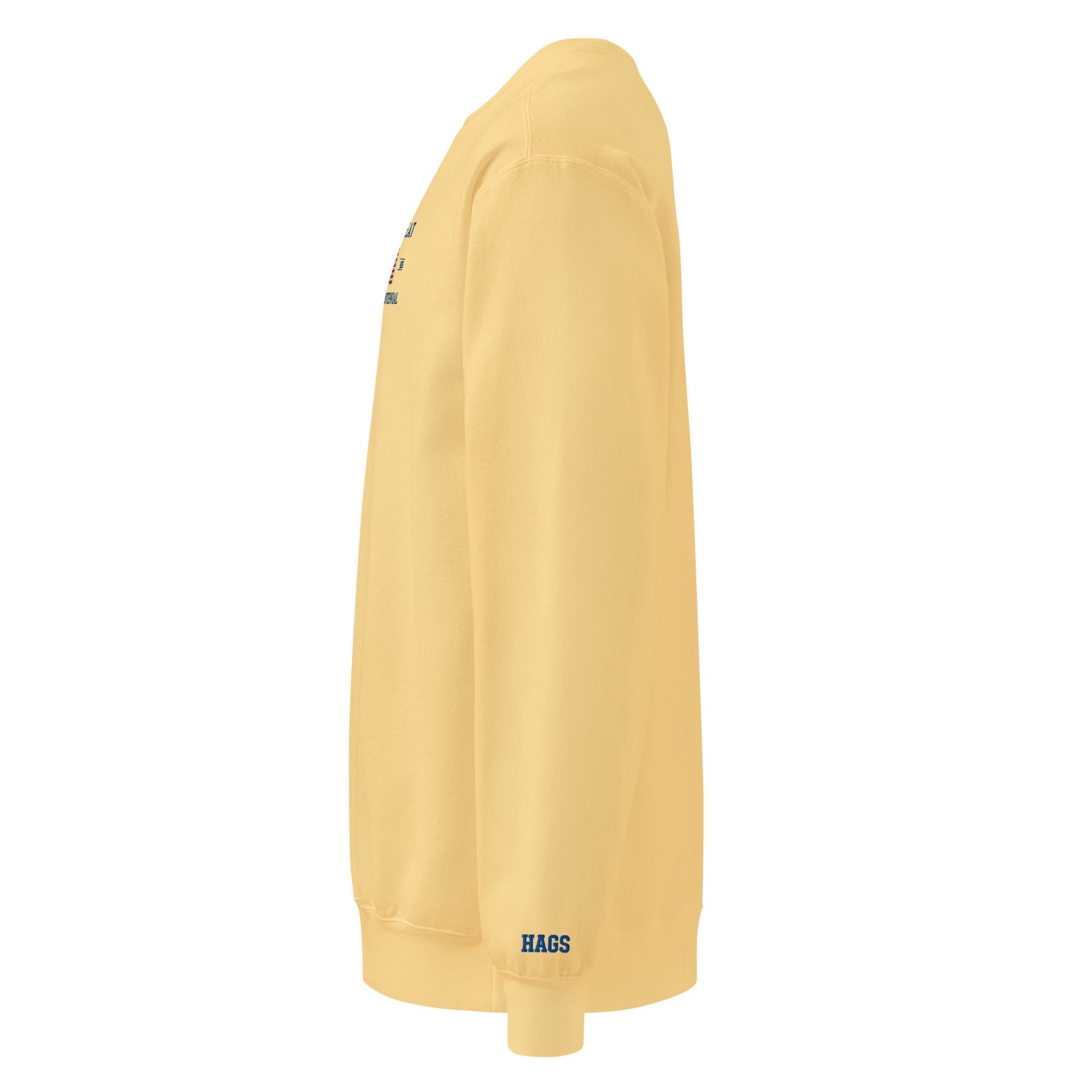 America 250th Anniversary 2026 Embroidered American Flag Sweatshirt – HAGS Clothing