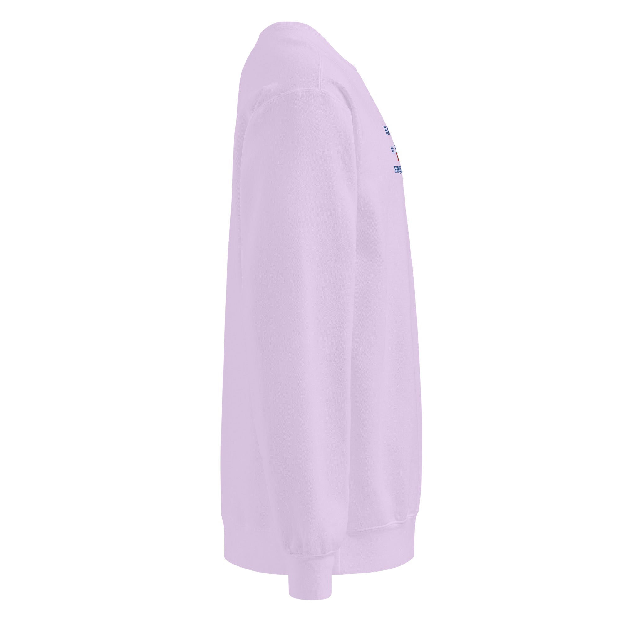 America 250th Anniversary 2026 Embroidered American Flag Sweatshirt – HAGS Clothing