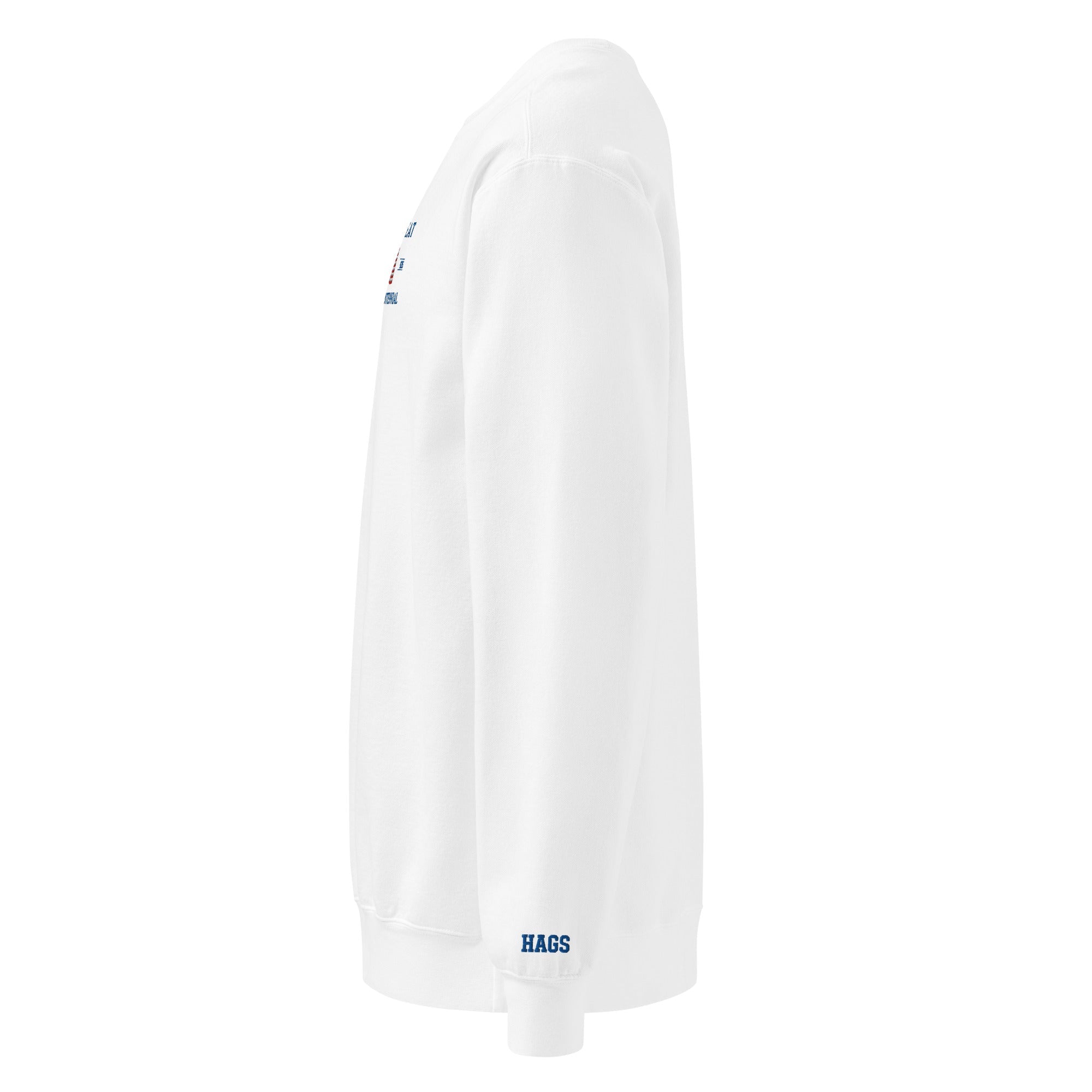 America 250th Anniversary 2026 Embroidered American Flag Sweatshirt – HAGS Clothing