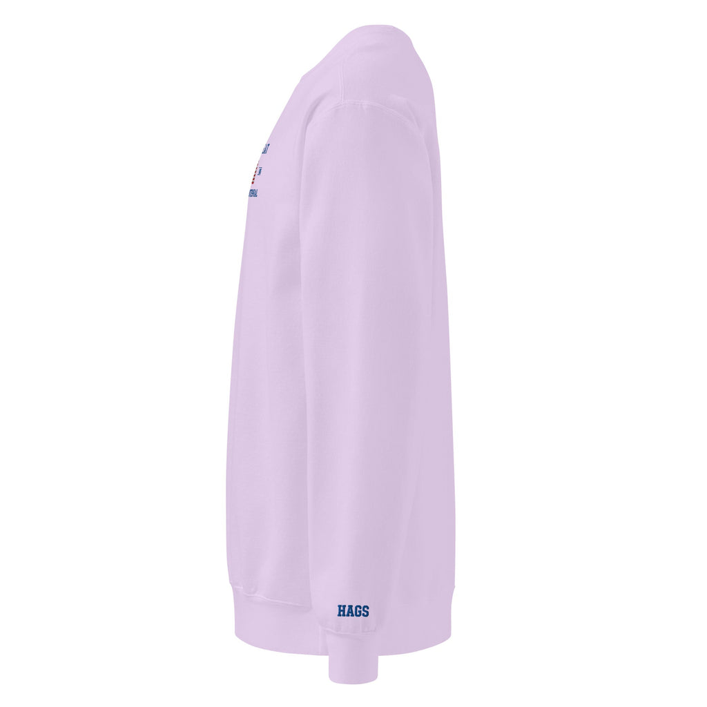 America 250th Anniversary 2026 Embroidered American Flag Sweatshirt – HAGS Clothing