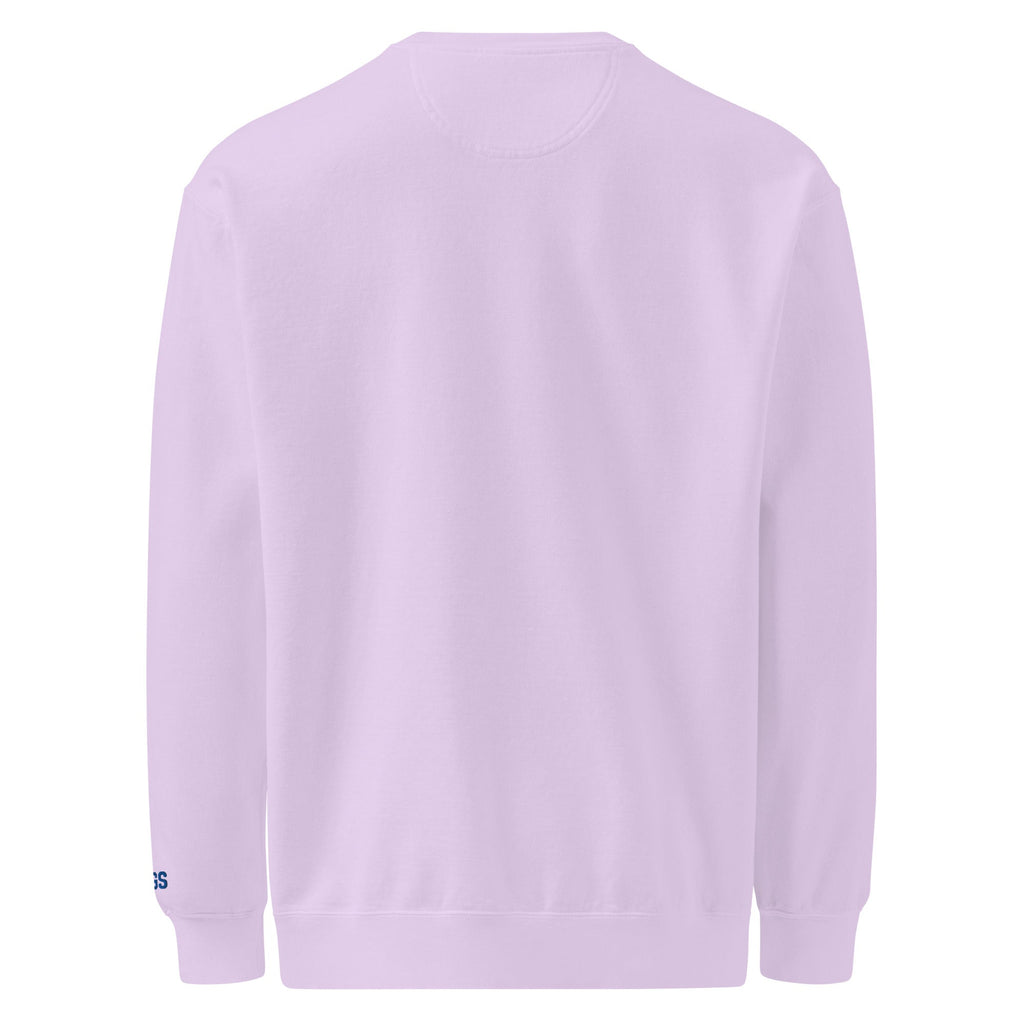 America 250th Anniversary 2026 Embroidered American Flag Sweatshirt – HAGS Clothing