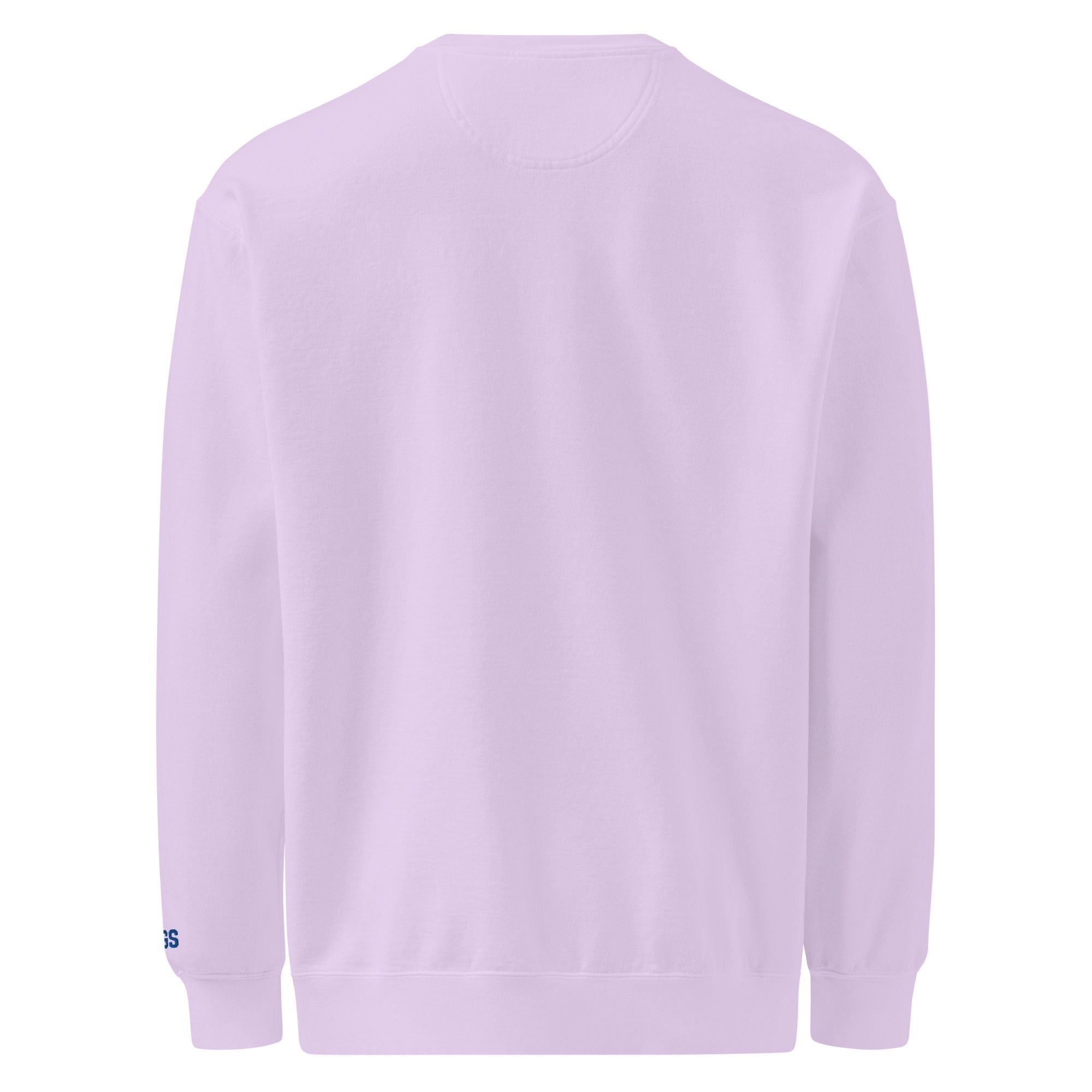 America 250th Anniversary 2026 Embroidered American Flag Sweatshirt – HAGS Clothing