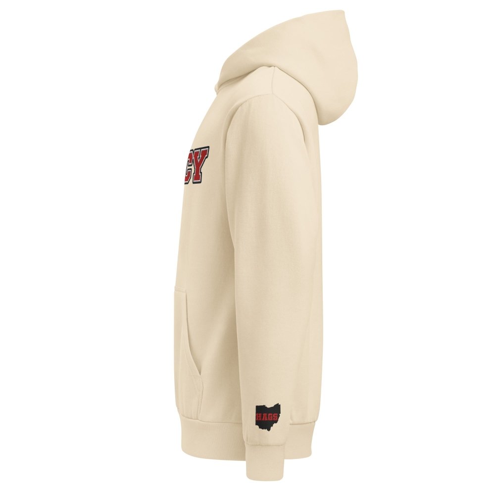 Left-side view of ivory HAGS Cincinnati Ohio CINCY embroidered hoodie.