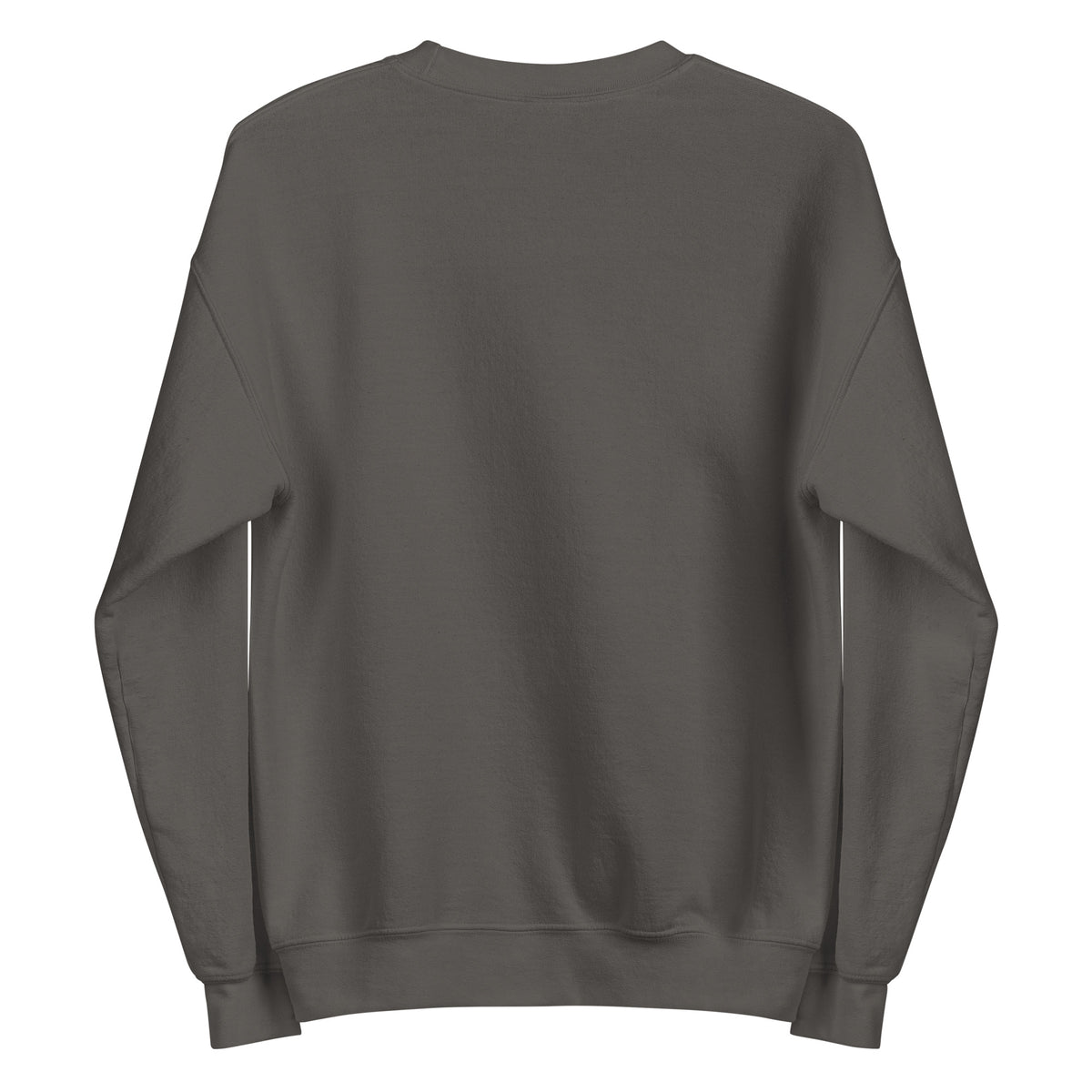 Back view of charcoal HAGS COMO embroidered crewneck sweatshirt, showing plain back.