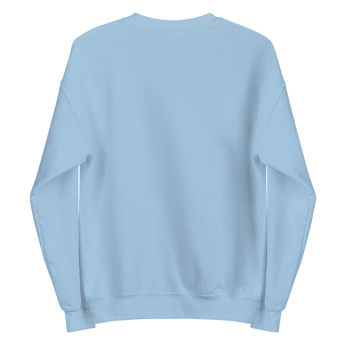 Back view of light blue HAGS COMO embroidered crewneck sweatshirt, showing plain back.