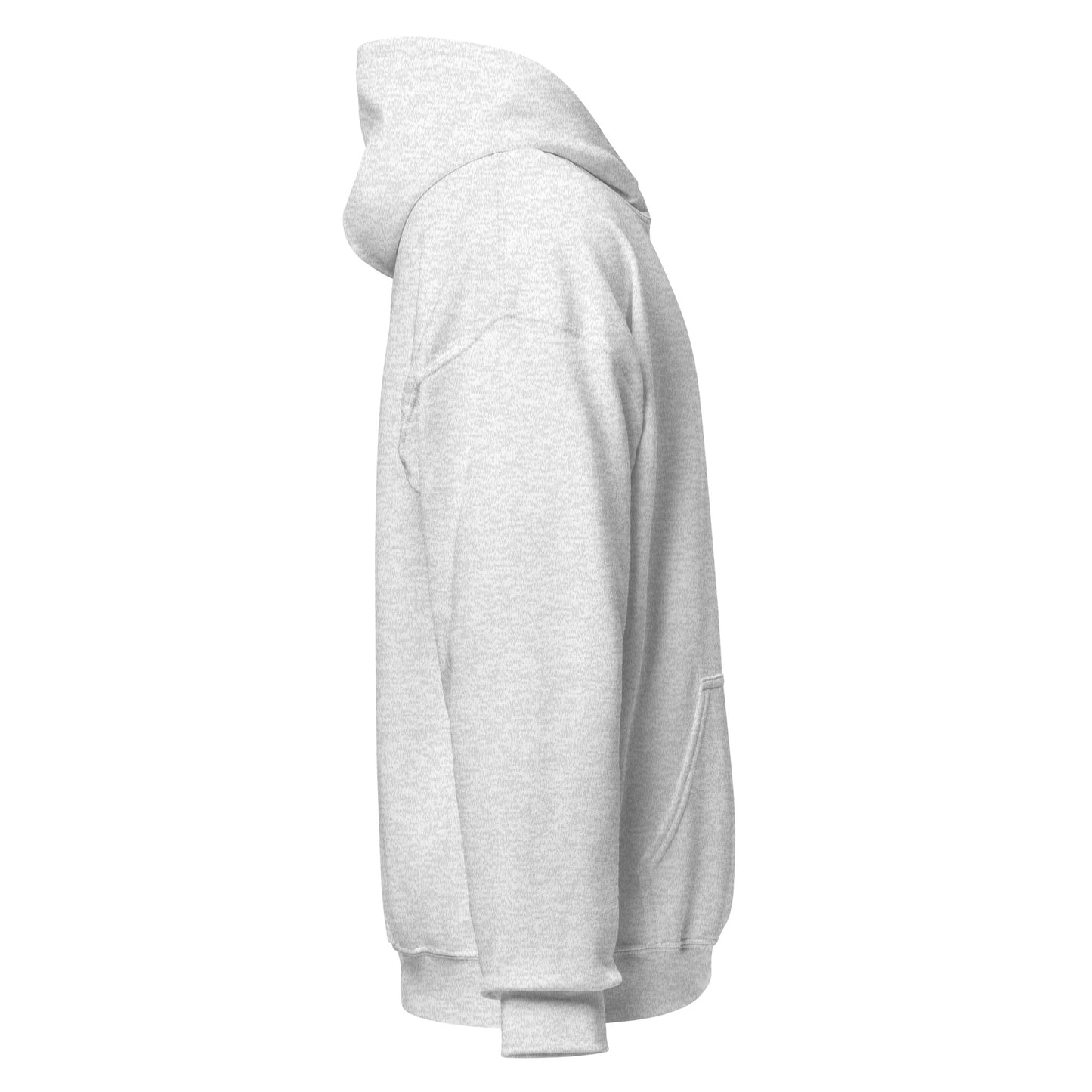 Right-side view of ash HAGS COMO small logo hoodie.