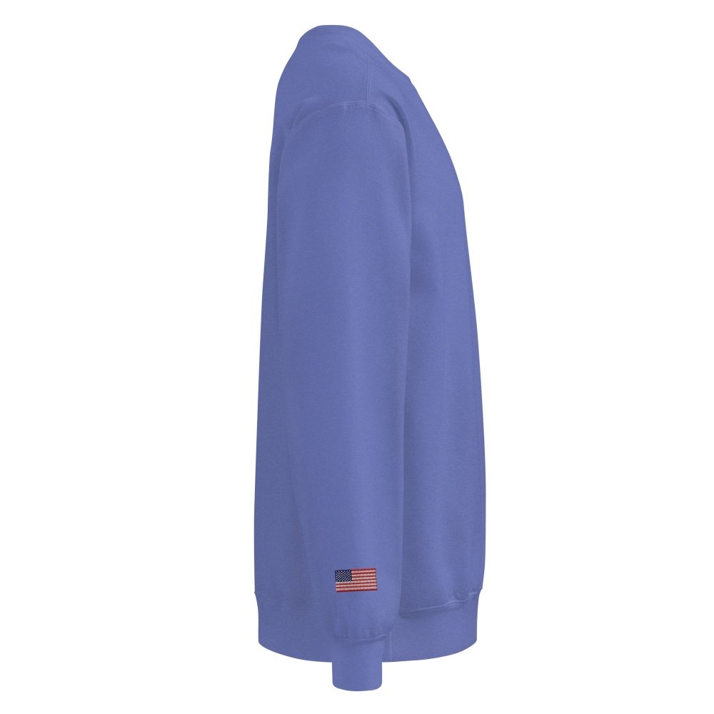 Right-side view of blue HAGS Have a Great Summer USA crewneck sweatshirt.