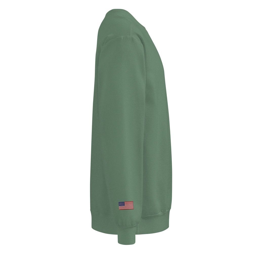 Right-side view of green HAGS Have a Great Summer USA crewneck sweatshirt.