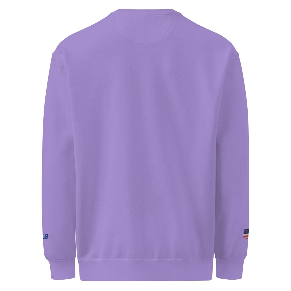 Back view of purple HAGS Have a Great Summer USA crewneck sweatshirt, showing plain back.