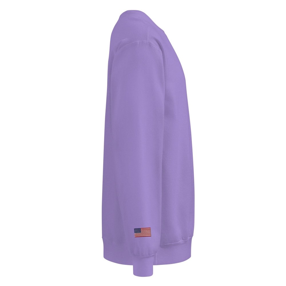 Right-side view of purple HAGS Have a Great Summer USA crewneck sweatshirt.