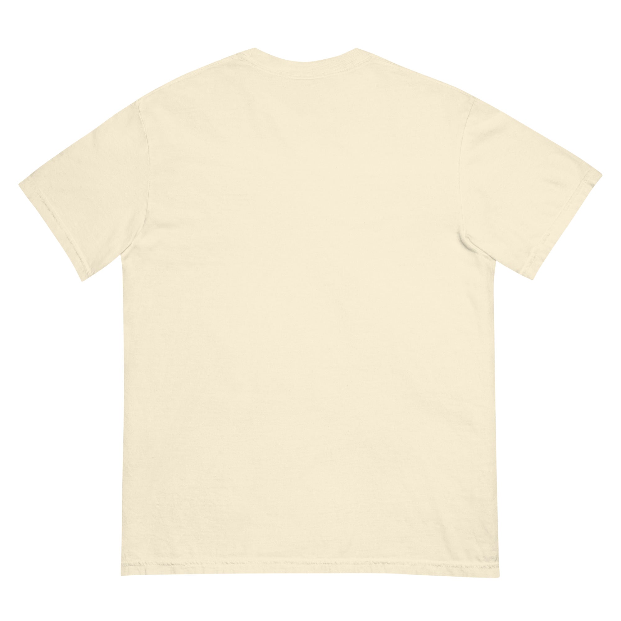 HAGS Logo Tee – Heavyweight Streetwear Shirt (Est. 2025) – HAGS Clothing