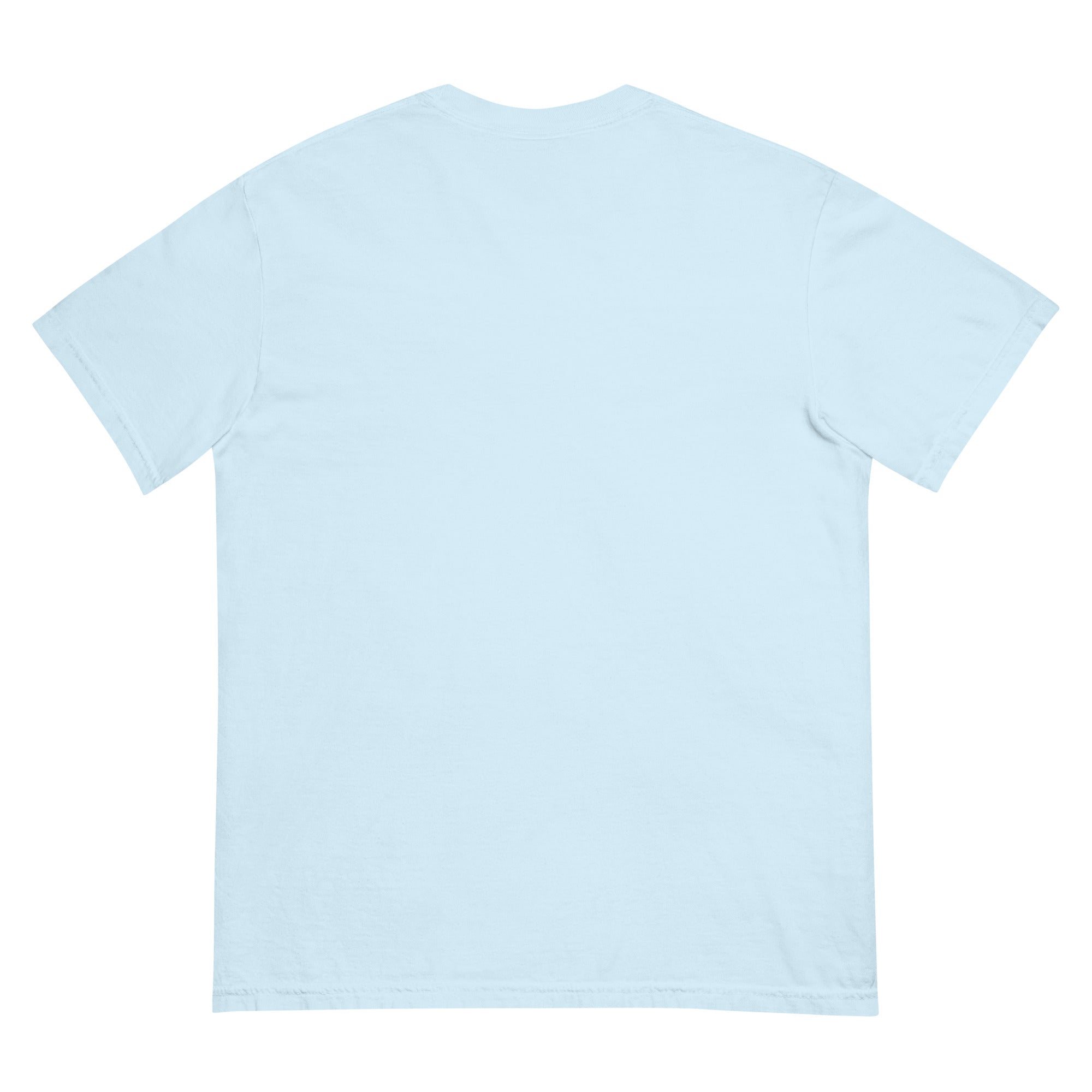 HAGS Logo Tee – Heavyweight Streetwear Shirt (Est. 2025) – HAGS Clothing