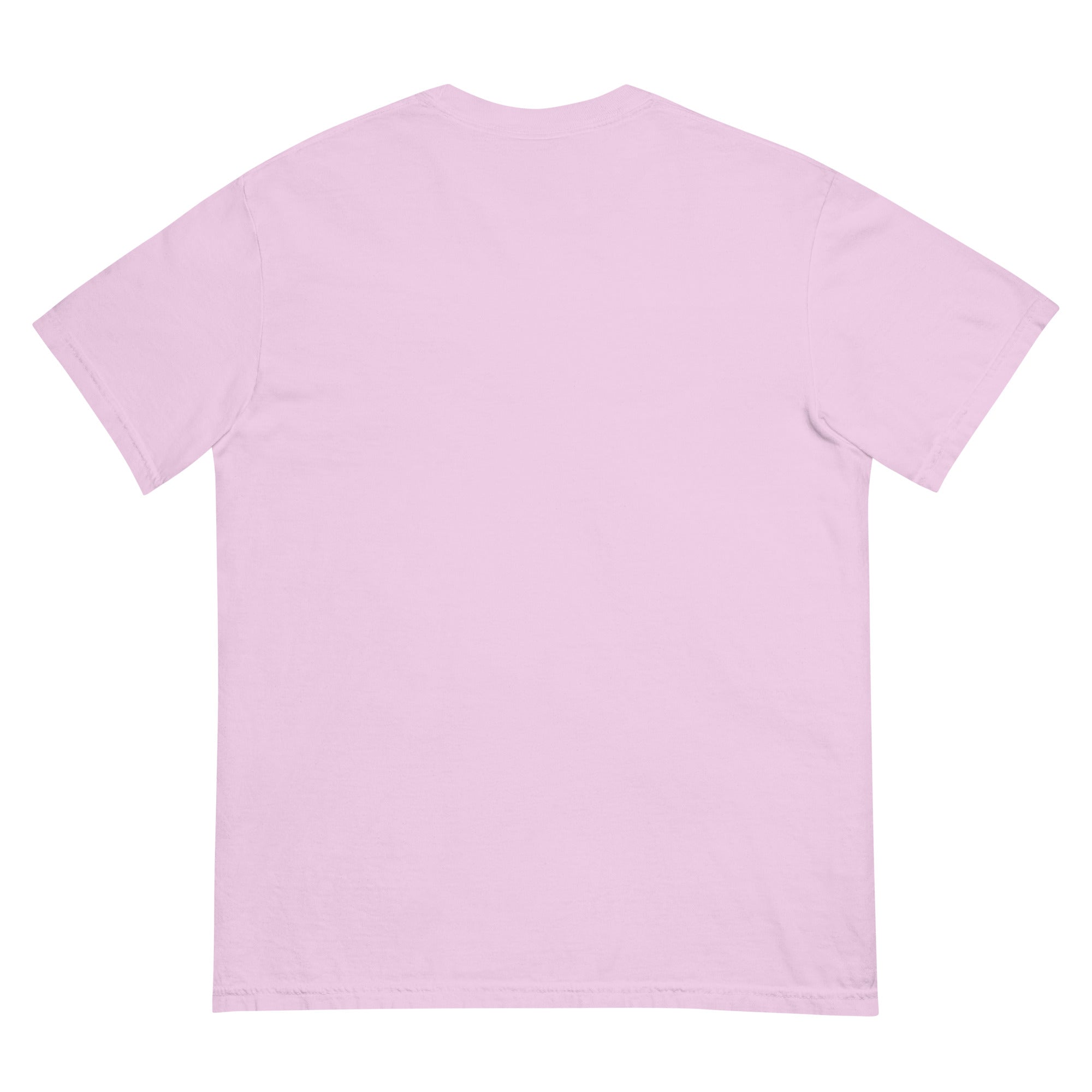 HAGS Logo Tee – Heavyweight Streetwear Shirt (Est. 2025) – HAGS Clothing