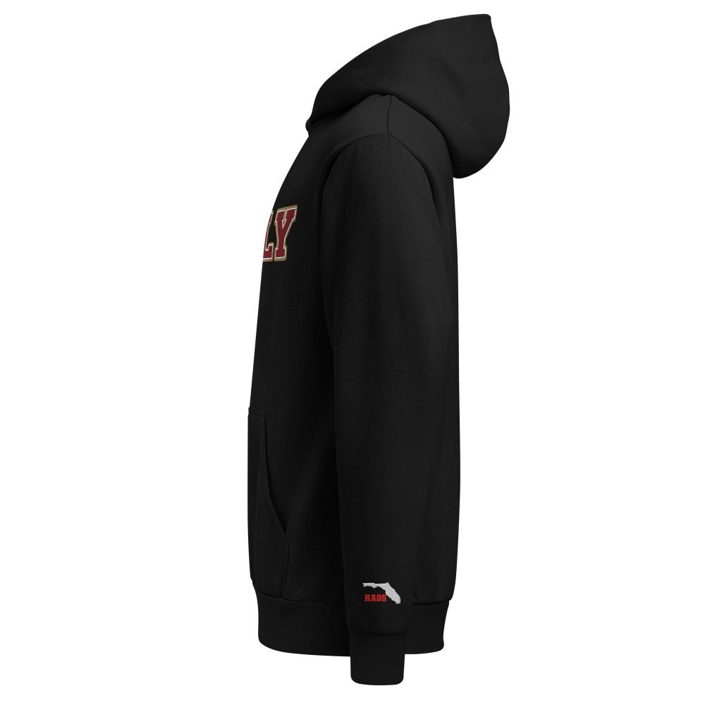 Left-side view of black HAGS Tallahassee Florida TALLY hoodie.