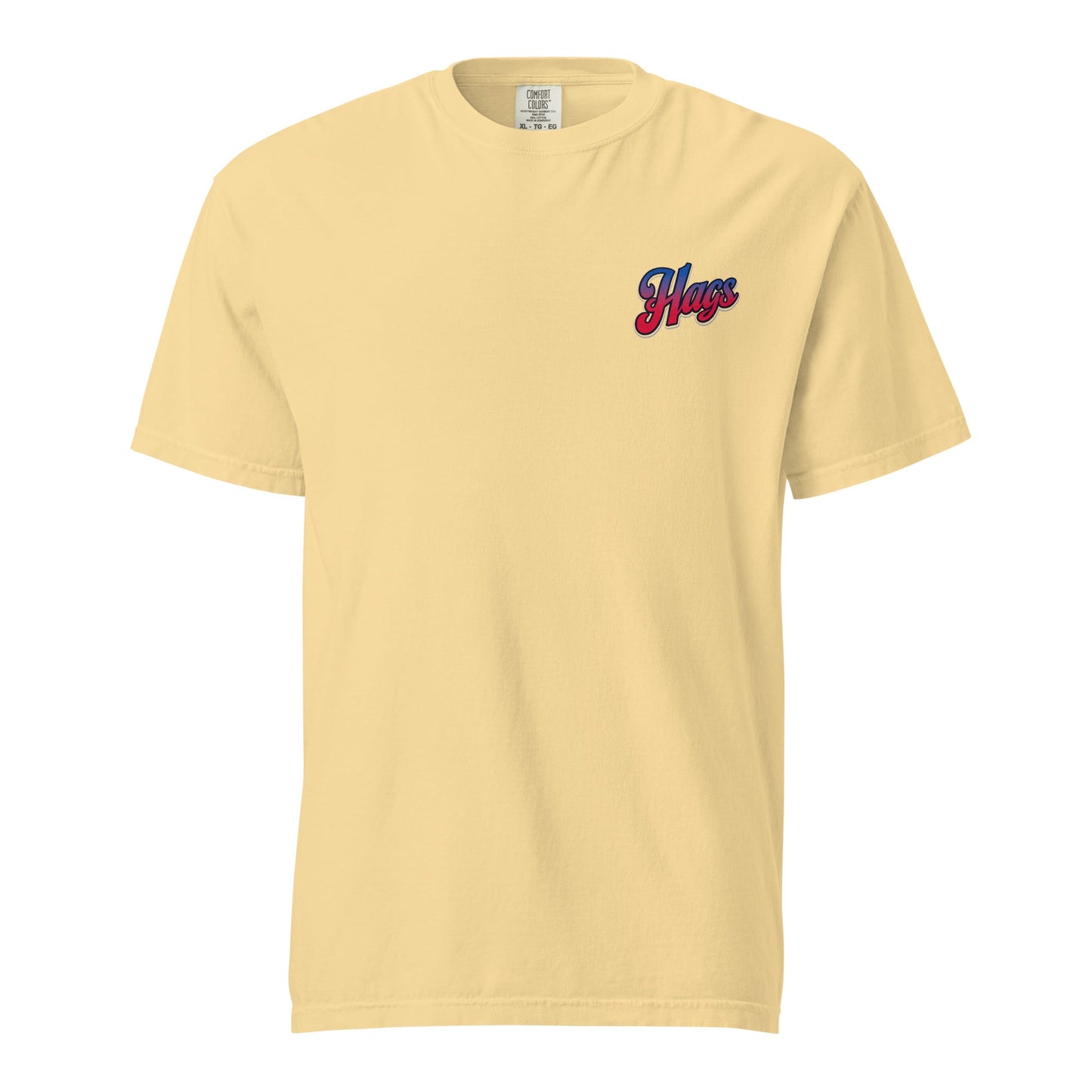 Have a Great Semiquincentennial Patriotic USA Graphic Tee | HAGS – HAGS Clothing