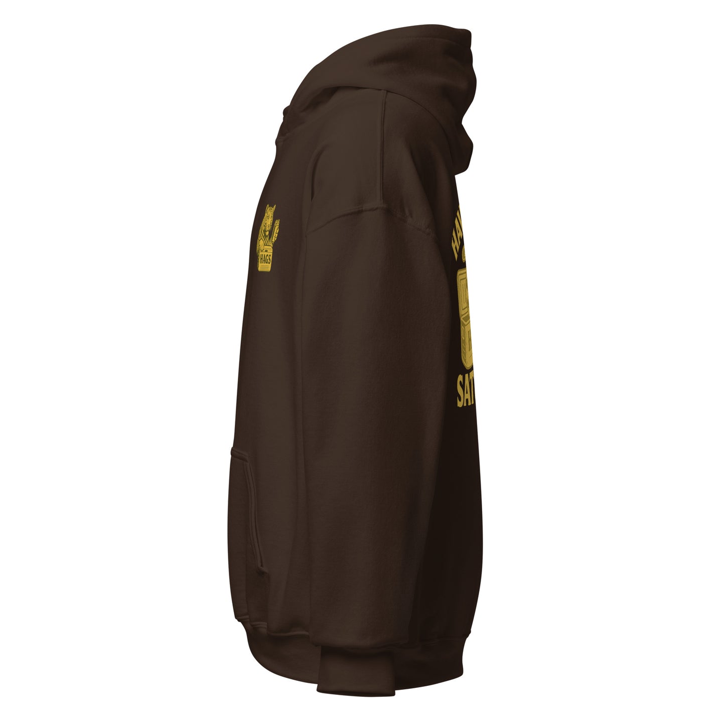 Have a Great Saturday – Tiger Cooler Hoodie – HAGS Clothing