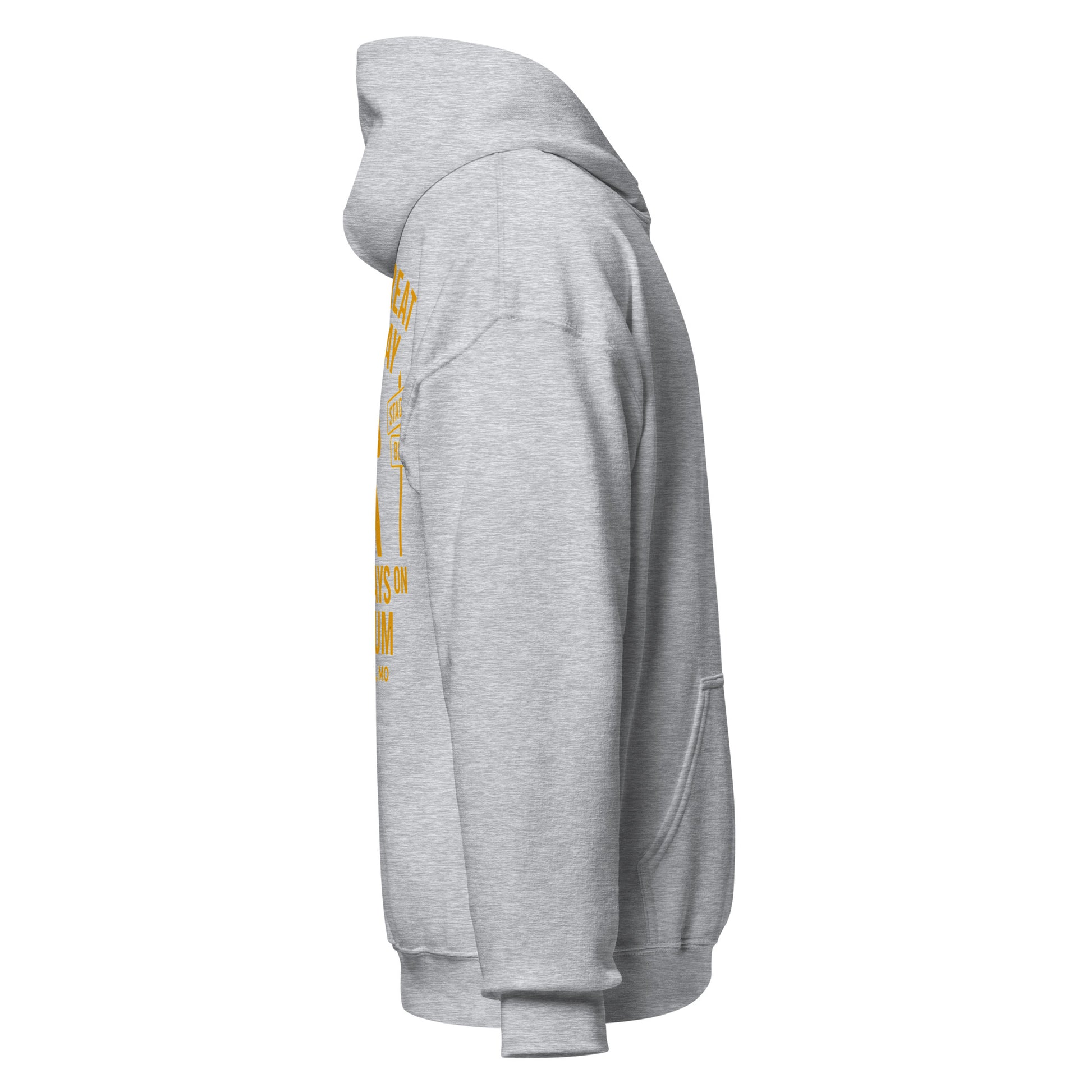 Saturdays on Stadium – Columbia MO Hoodie – HAGS Clothing