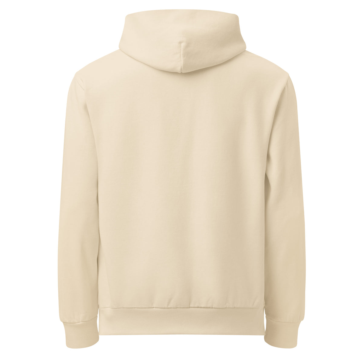 Back view of the sandshell HAGS heavyweight oversized urban hoodie.